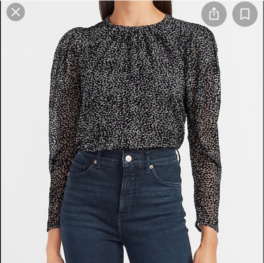 Express Velvet Puff Sleeve Top